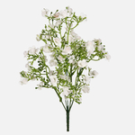 White (QA269-01)