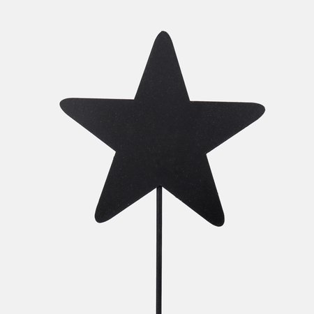 Star on pick