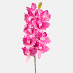 Pink (L525L-03)