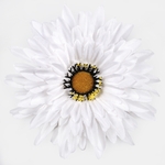 White/Yellow (W539-01)