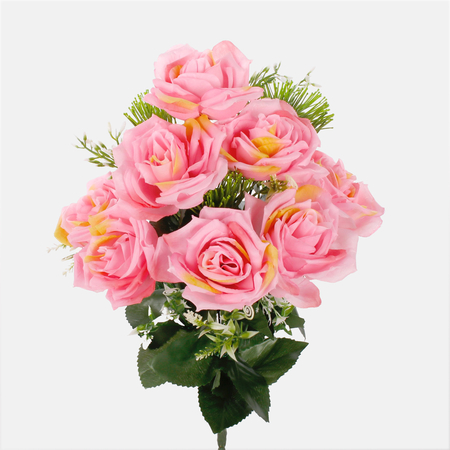Rose x 11