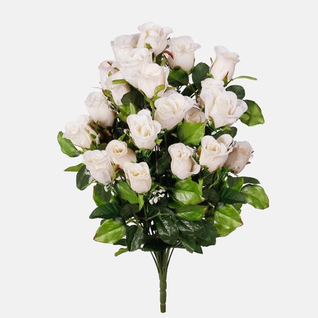 Rosebud x 24
