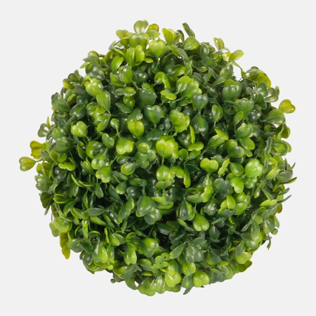 Boxwood ball 18 cm