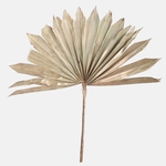 Gold (Y637)