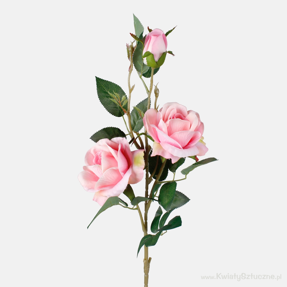 Roses Stem (Set of 6) Primrue Size: 21 H x 3 W x 3 D, Flowers Color: Salmon