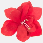 Red (W259S-01)