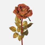 Orange (L787L-02)