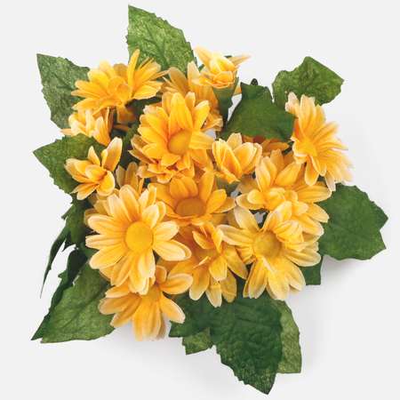 Centrepiece for a candle - Daisy
