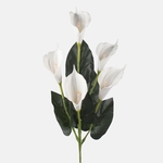 Pure White (L862-02)
