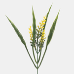 Yellow/Green (A499K-01)