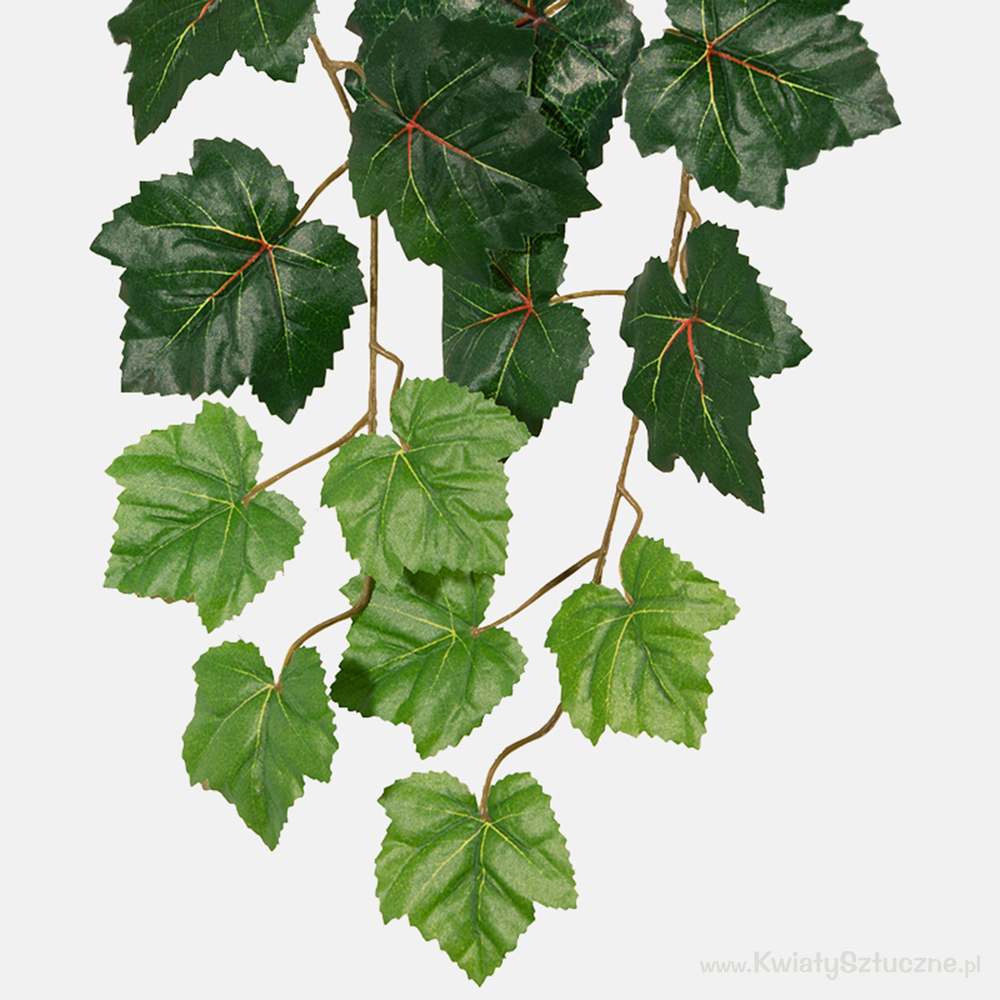 Creeper B049 Artificial creepers