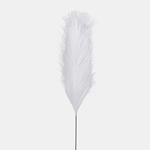 Ivory (A730-01)