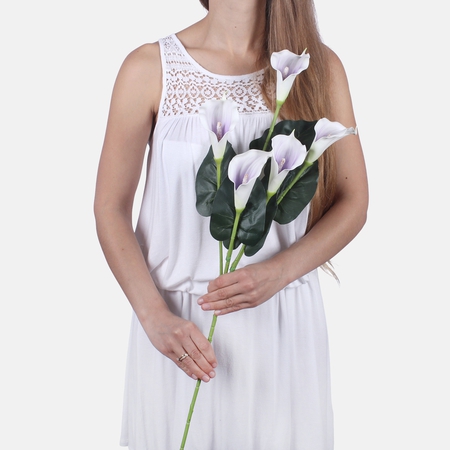 Calla