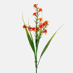 Orange (A512K-03)