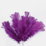 Purple (SD006K-07)