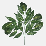 Green (F191-01)