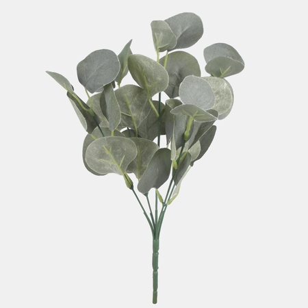 Eucalyptus