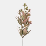 Pink/Green (A791K-02)