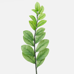 Green (A557)
