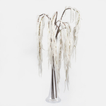White (F778L-01)