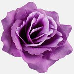 Violet (W087-18)