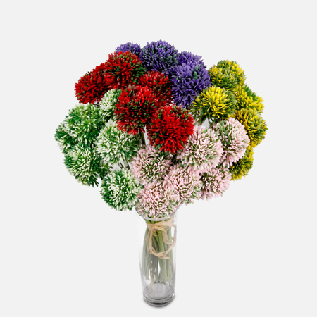 Onion flower