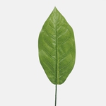 Lt. Green (A810B)
