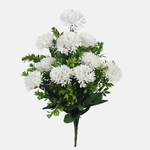 White (QA248-02)