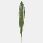 Variegated (A216-02)