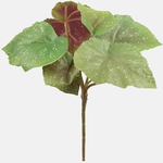 Green (Z091LG)