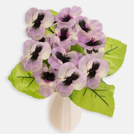 Pansy
