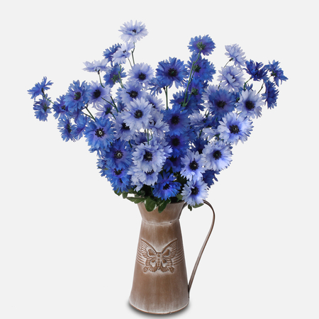 Cornflower x 7