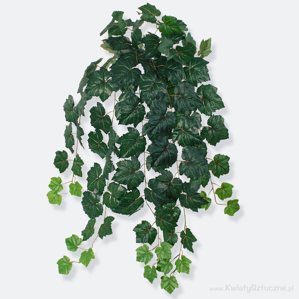 Creeper B049 Artificial creepers