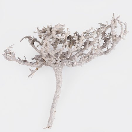 Dry Tree 100 g