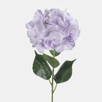 Lilac (L826K-03)