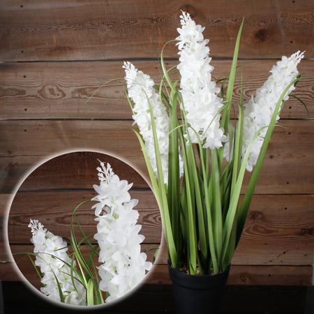 Blooming potted grass 0.69 m