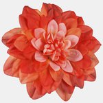 Orange/Dk. Edge (W536-27)
