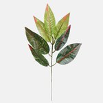 Green/Red (F010-01)