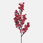 Red (A847-01)