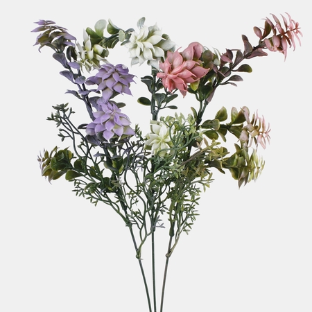 Spurge