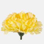 T.T. Yellow (W616-24)