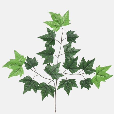 Maple spray