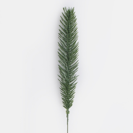 Spruce twig