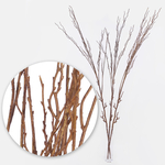 Brown (F016L)