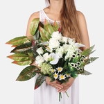 White (X006R)