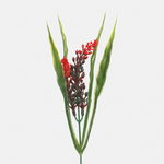 Red/Green (A499K-04)