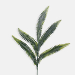 Green (A299)