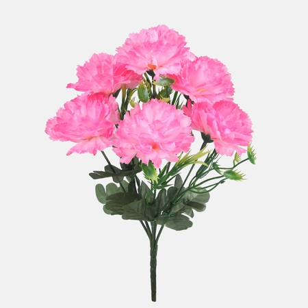 Carnation x 6