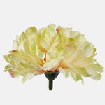 Lt. Green/Pink (W616-22)
