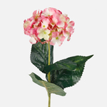Cream/Pink (L747-02)